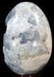 Crystal Filled Celestine (Celestite) Egg #41701-2